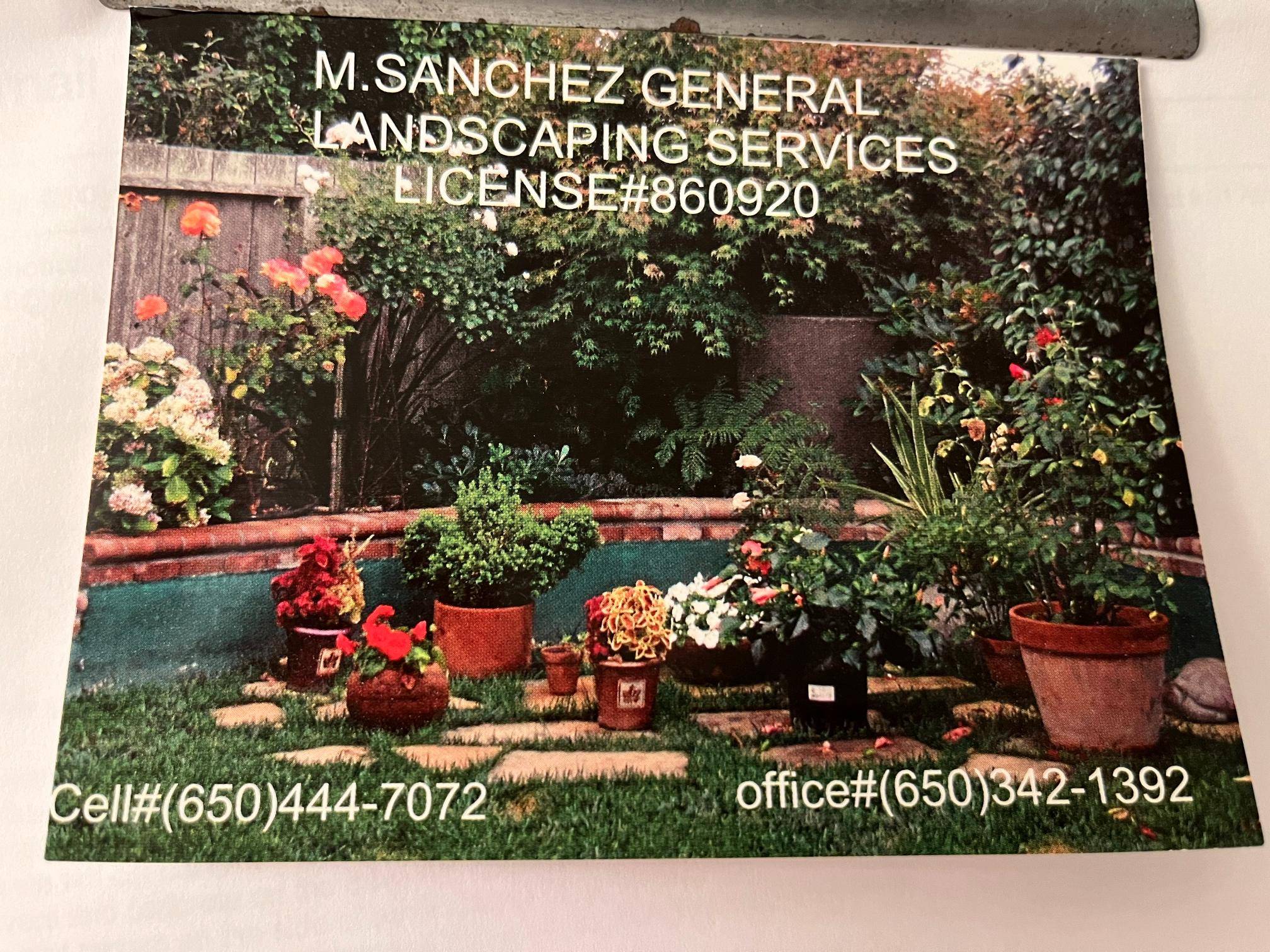 M Sanchez 7812