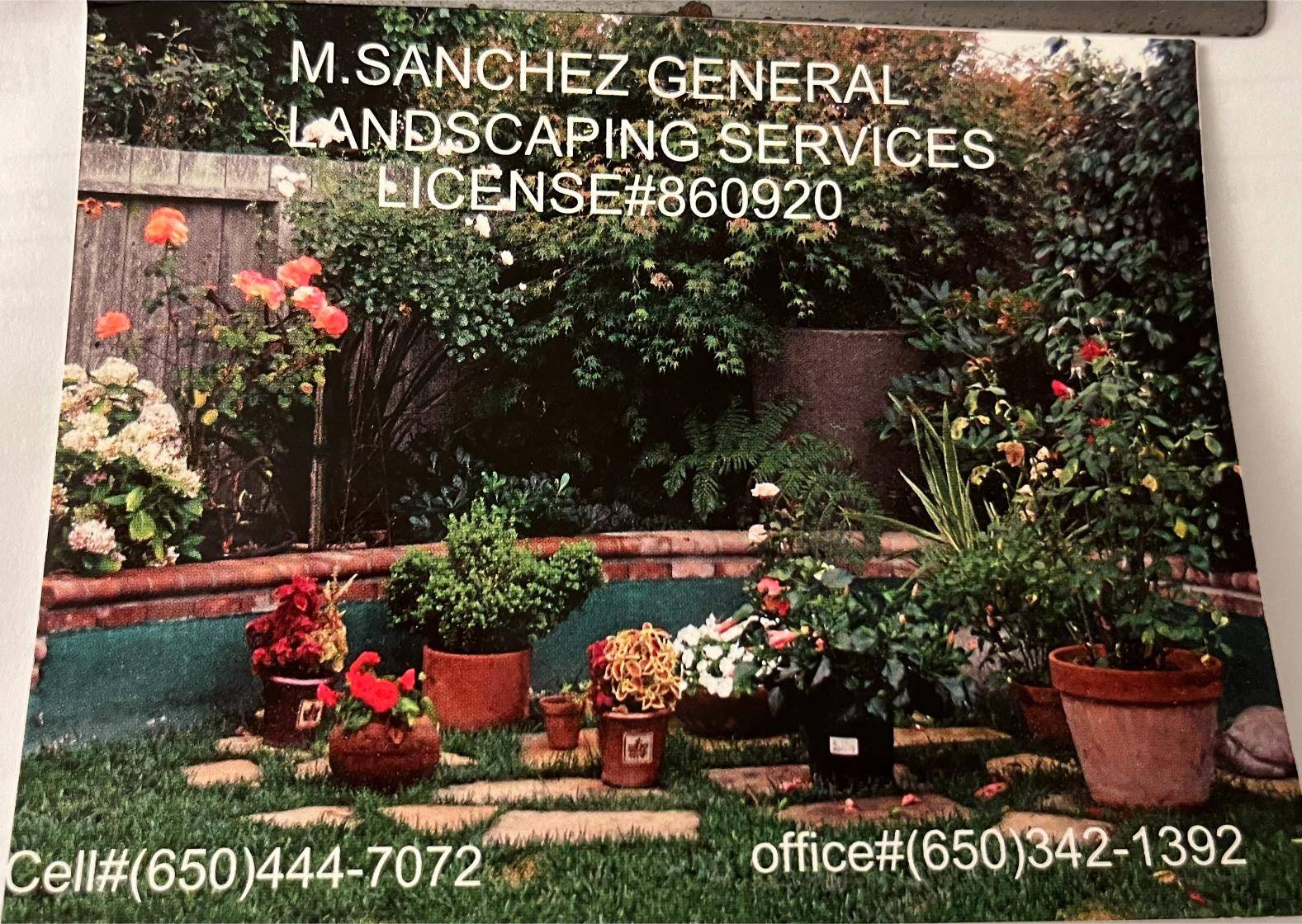 M Sanchez 7813